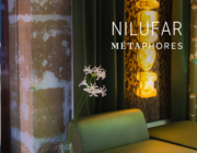 news.nilufar-x-metaphores.name